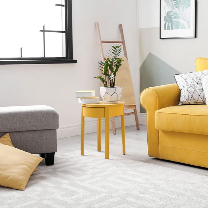 Local-Carpet-CLeaner-pic-015